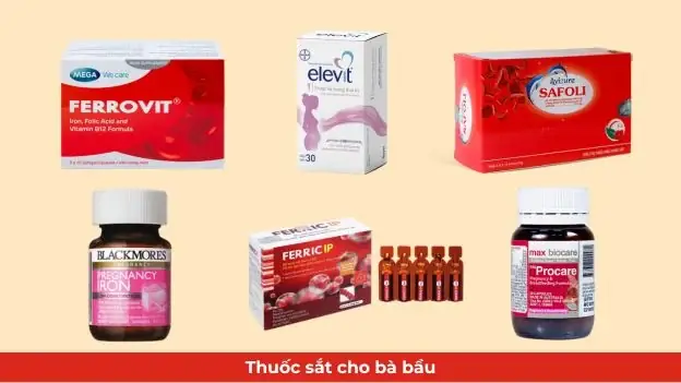 Bài Hát Dành Cho Mẹ Bầu