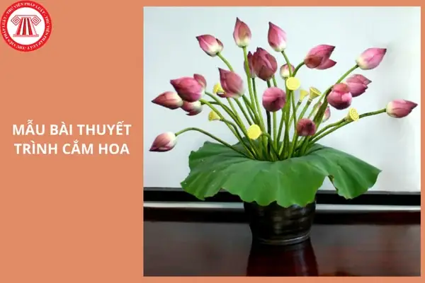 Bài Thuyết Trình Cắm Hoa 26 3