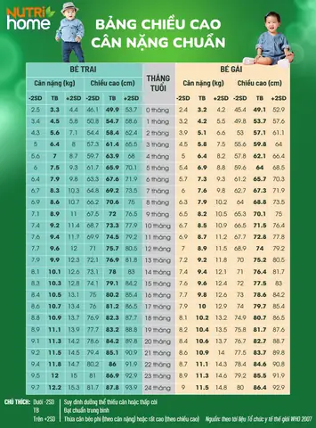 Bảng Chiều Cao Của Bé Trai Bảng Chiều Cao Của Bé Trai