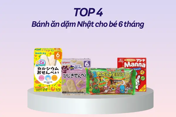Bánh Ăn Dặm Cho Bé 6 Tháng Tốt Nhất