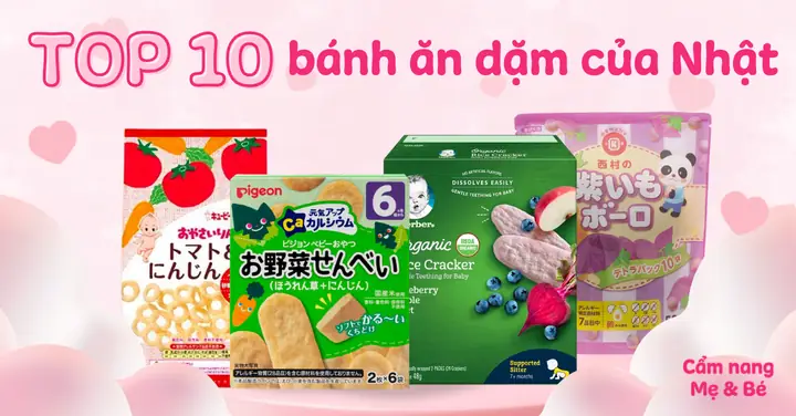 Bánh Ăn Dặm Nào Ngon Nhất