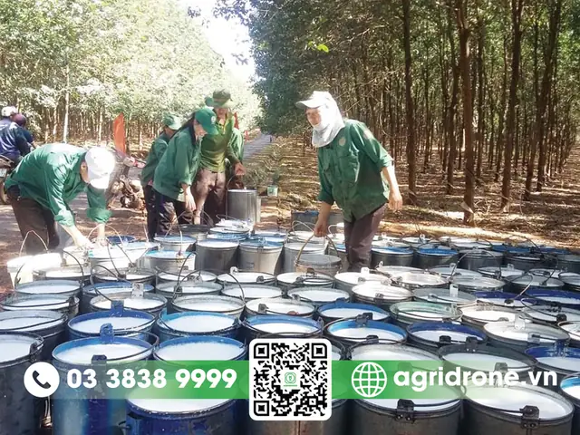 Bao Cao Su Giá Bao Nhiêu Tiền