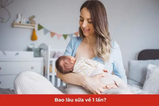 Bao Lâu Thì Hút Sữa 1 Lần