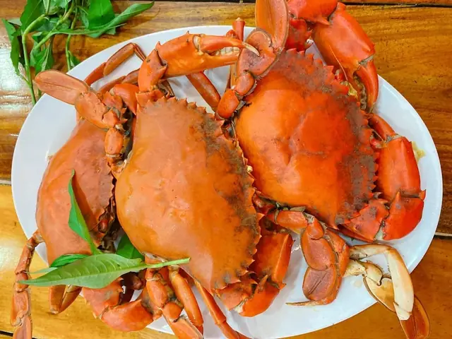 Bầu 3 Tháng Đầu An Cua Biển Được Không