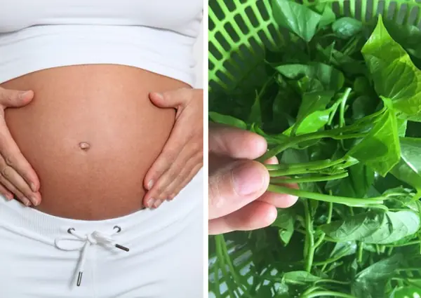 Bầu 3 Tháng Đầu An Rau Lang Được Không Bầu 3 Tháng Đầu An Rau Lang Được Không