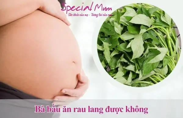 Bầu 3 Tháng Đầu An Rau Lang Được Không Bầu 3 Tháng Đầu An Rau Lang Được Không