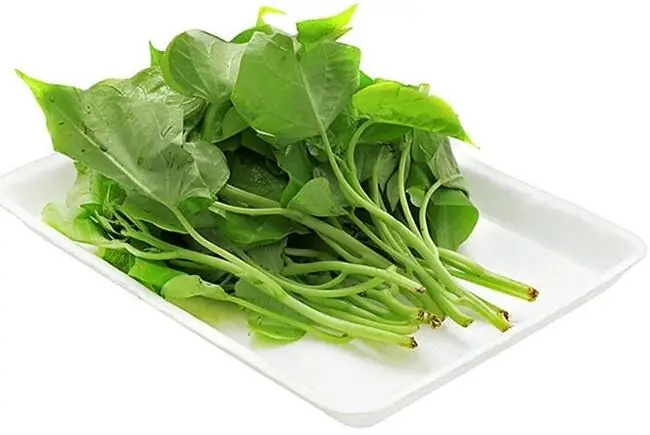 Bầu 3 Tháng Đầu An Rau Lang Được Không Bầu 3 Tháng Đầu An Rau Lang Được Không