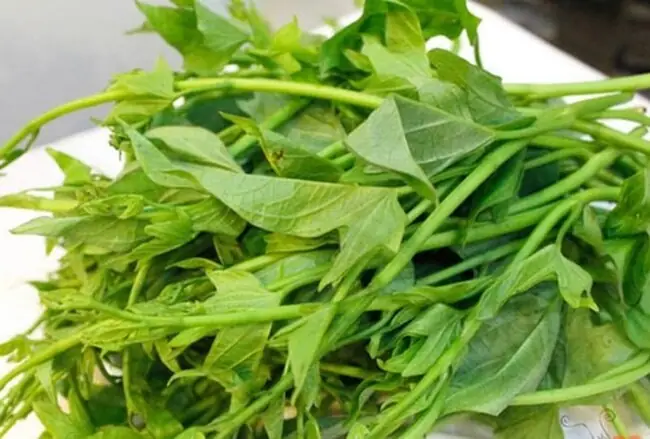 Bầu 3 Tháng Đầu An Rau Lang Được Không Bầu 3 Tháng Đầu An Rau Lang Được Không