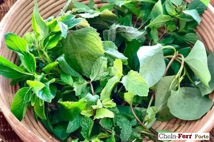 Bầu 3 Tháng Đầu Có Được Ăn Kem Không