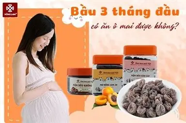 Bầu 3 Tháng Đầu Có Được An Quả Sấu Không