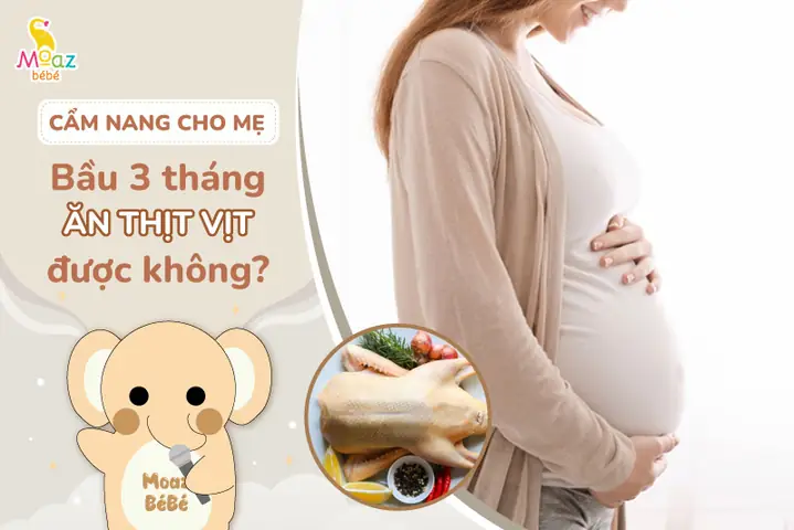 Bầu 3 Tháng Đầu Có Được An Quả Sấu Không