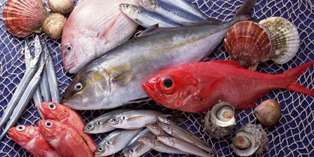 Bầu 3 Tháng Đầu Nên Ăn Cá Gì