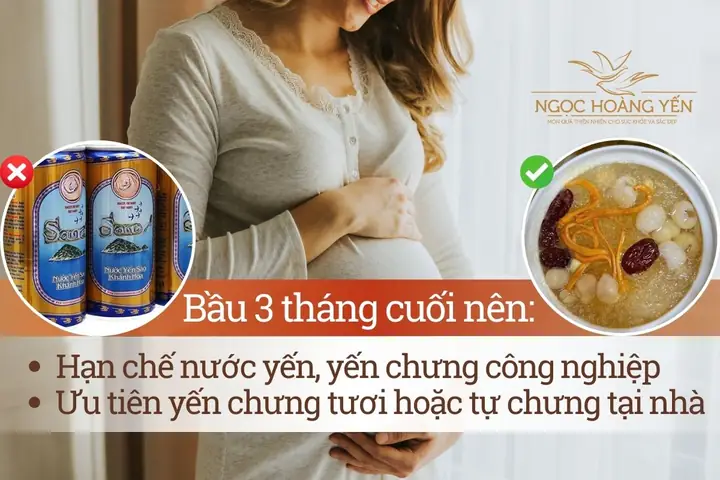 Bầu 3 Tháng Uống Yến Được Không