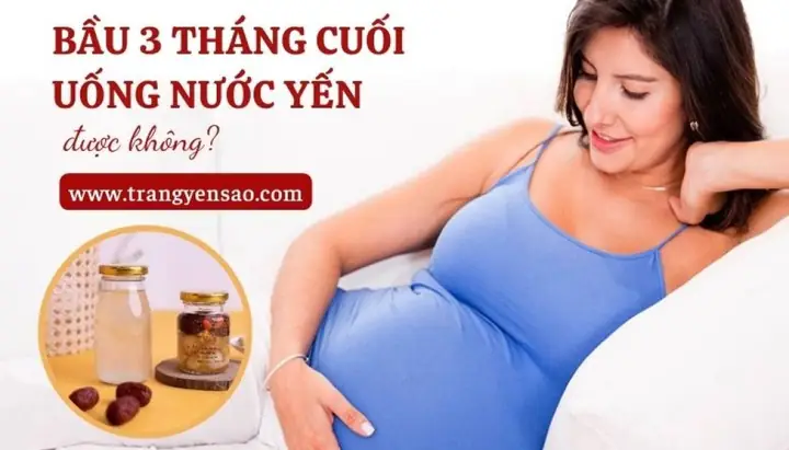 Bầu 3 Tháng Uống Yến Được Không