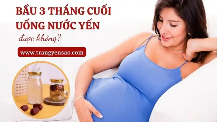 Bầu 3 Tháng Uống Yến Được Không