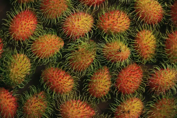 Bầu Ăn Chôm Chôm Có Tốt