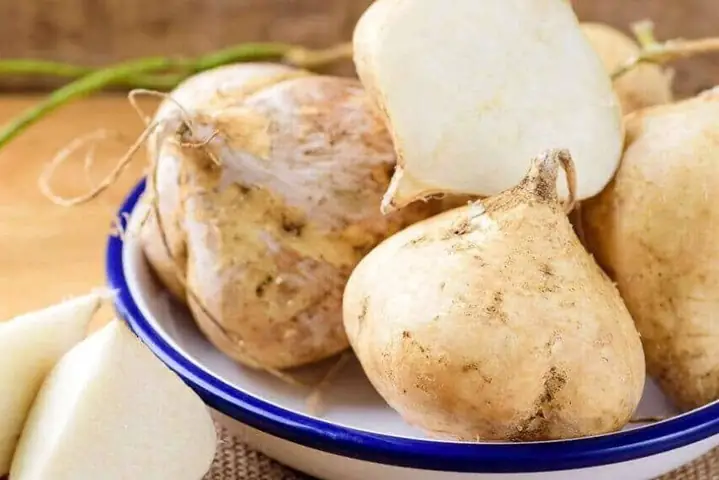Bầu Ăn Được Củ Sắn Không
