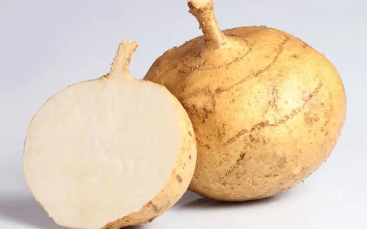 Bầu Ăn Được Củ Sắn Không