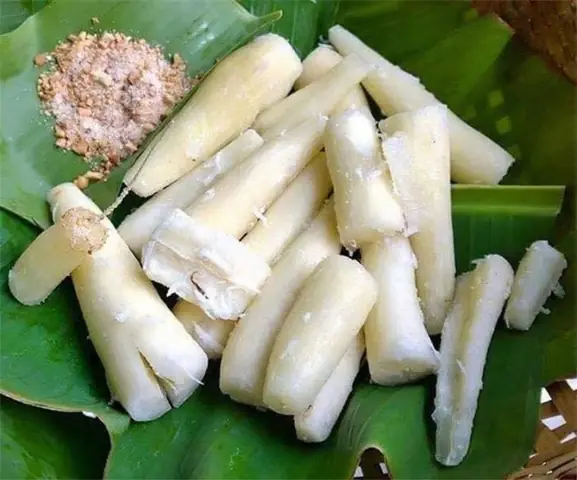 Bầu Ăn Được Củ Sắn Không