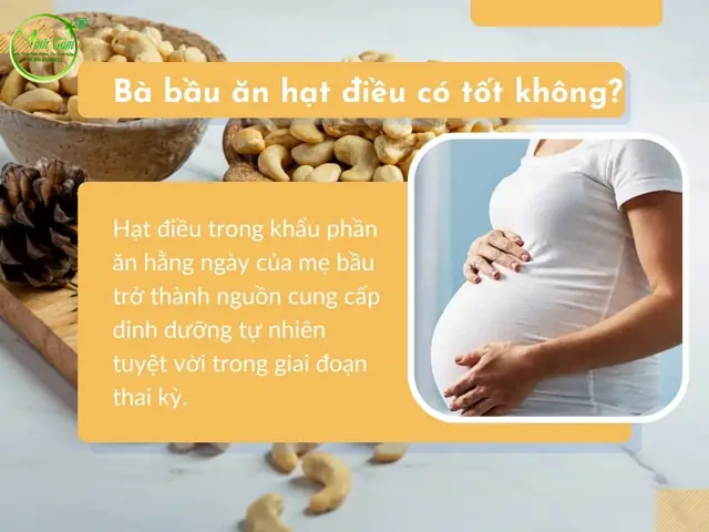 Bầu Ăn Hạt Điều Có Tốt Không