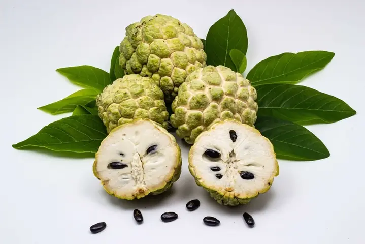 Bầu Ăn Na Xiêm Được Không