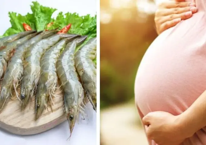 Bầu Ăn Tôm Có Tốt Không