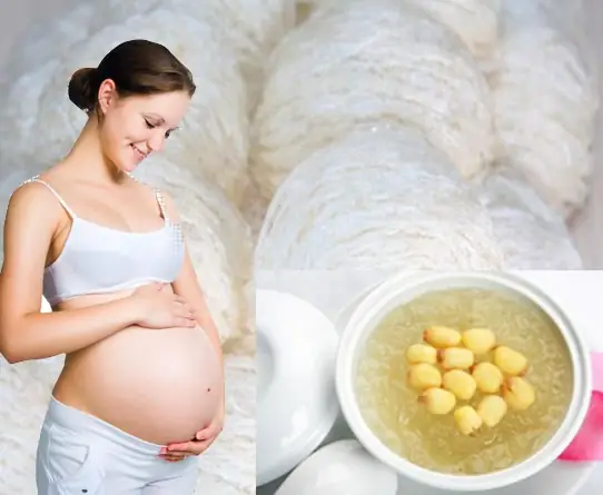 Bầu Ăn Yến Sào Được Không