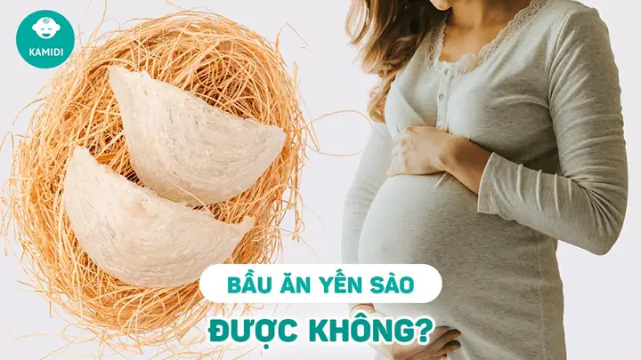 Bầu Ăn Yến Sào Được Không
