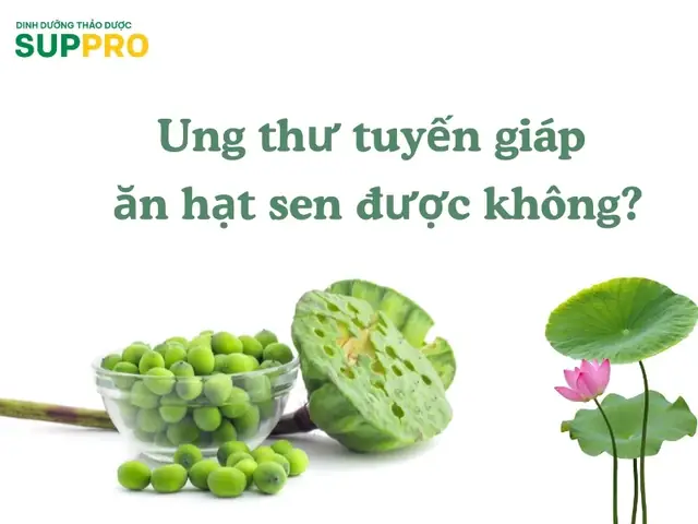 Bầu Có Ăn Được Hạt Sen Không