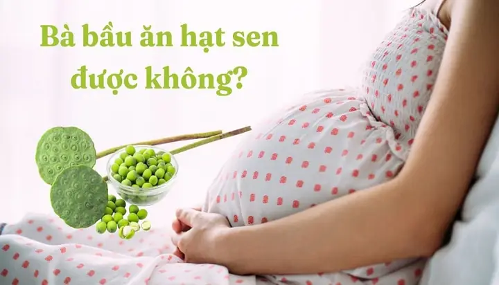 Bầu Có Ăn Được Hạt Sen Không