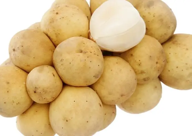 Bầu Có Được Ăn Bòn Bon