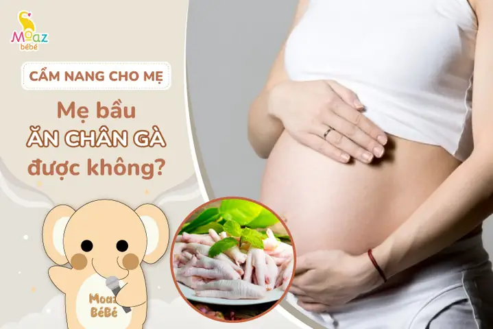 Bầu Có Được Ăn Chân Gà Không