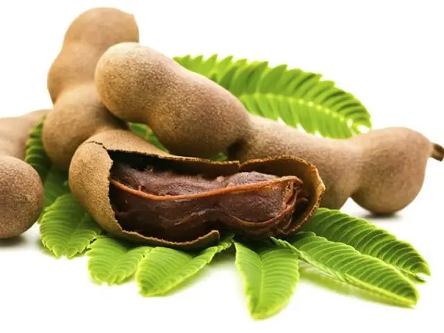 Bầu Có Được Ăn Me Không