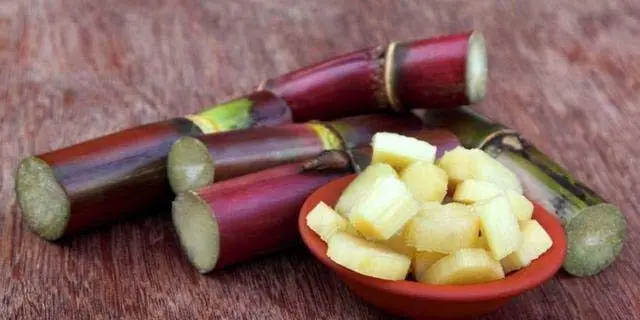 Bầu Có Được Ăn Mía Không