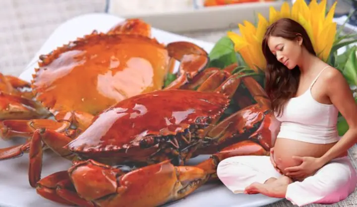 Bầu Có Nên Ăn Cua Không