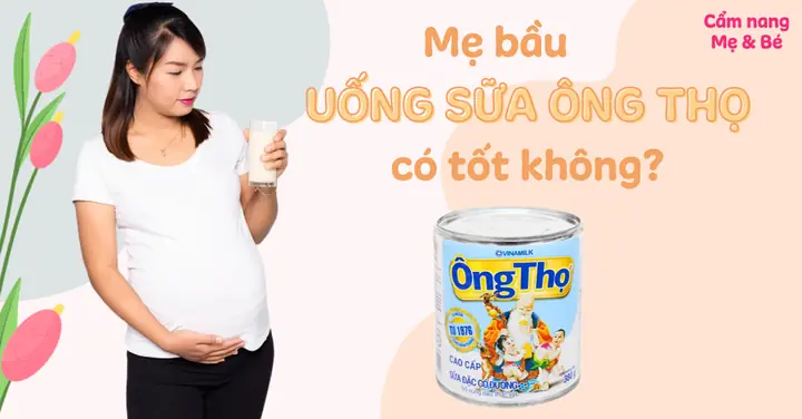 Bầu Có Nên Uống Sữa Ông Thọ