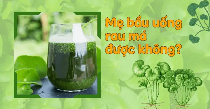 Bầu Có Uống Được Rau Má