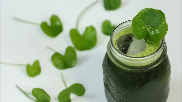 Bầu Có Uống Được Rau Má