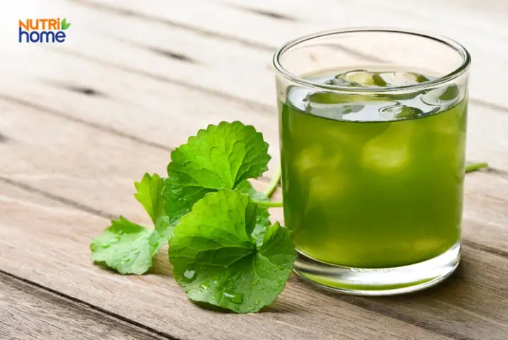 Bầu Có Uống Được Rau Má