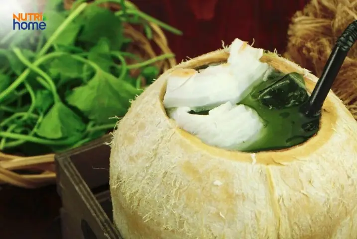 Bầu Có Uống Được Rau Má