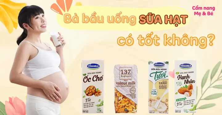 Bầu Mấy Tháng Thì Uống Hạt Chia
