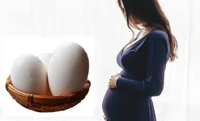 Bầu Nên Ăn Trứng Ngỗng Vào Thời Điểm Nào