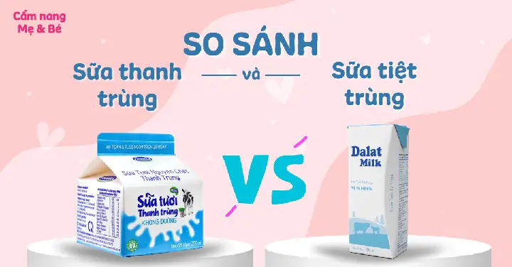 Bầu Nên Uống Sữa Thanh Trùng Hay Tiệt Trùng Bầu Nên Uống Sữa Thanh Trùng Hay Tiệt Trùng