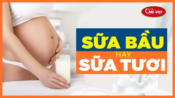 Bầu Nên Uống Sữa Tươi Loại Nào