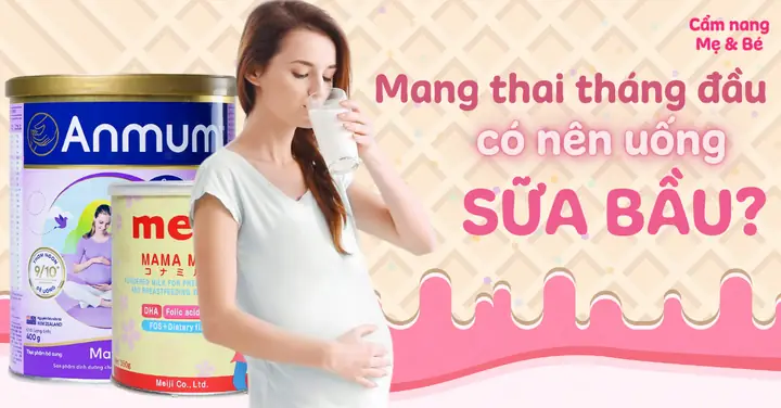 Bầu Những Tháng Đầu Nên Uống Sữa Gì
