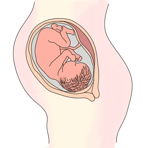 Bầu Tháng Thứ 5 Em Bé Đạp Nhiều