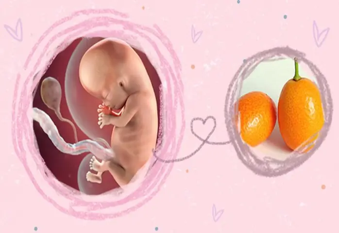 Bầu Tuần Thứ 10 Nên Ăn Gì