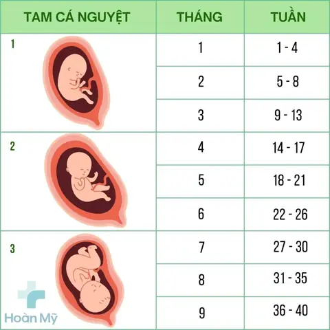 Bầu Tuần Thứ 10 Nên Ăn Gì