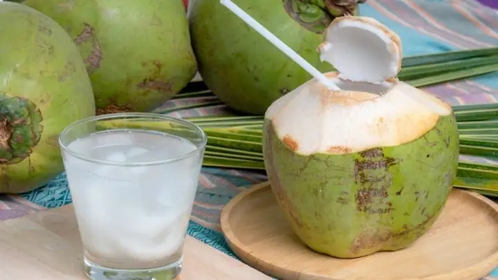 Bầu Uống Nước Dừa Già Được Không