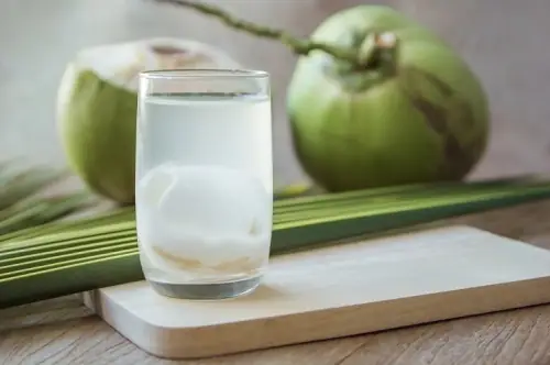 Bầu Uống Nước Dừa Lúc Nào